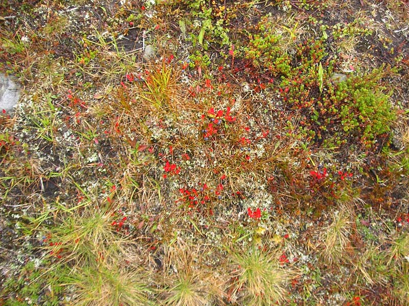Jamtland_2004(52)