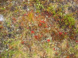 Jamtland_2004(52)